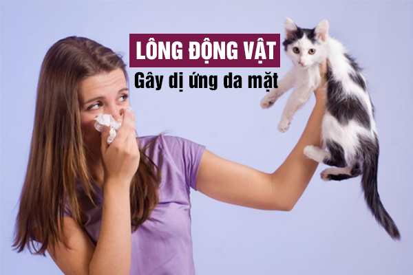 long-dong-vat-co-the-gay-viem-da-di-ung-o-nguoi.webp